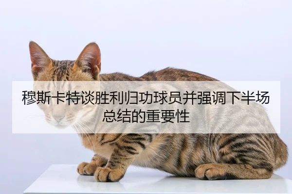 穆斯卡特谈胜利归功球员并强调下半场总结的重要性